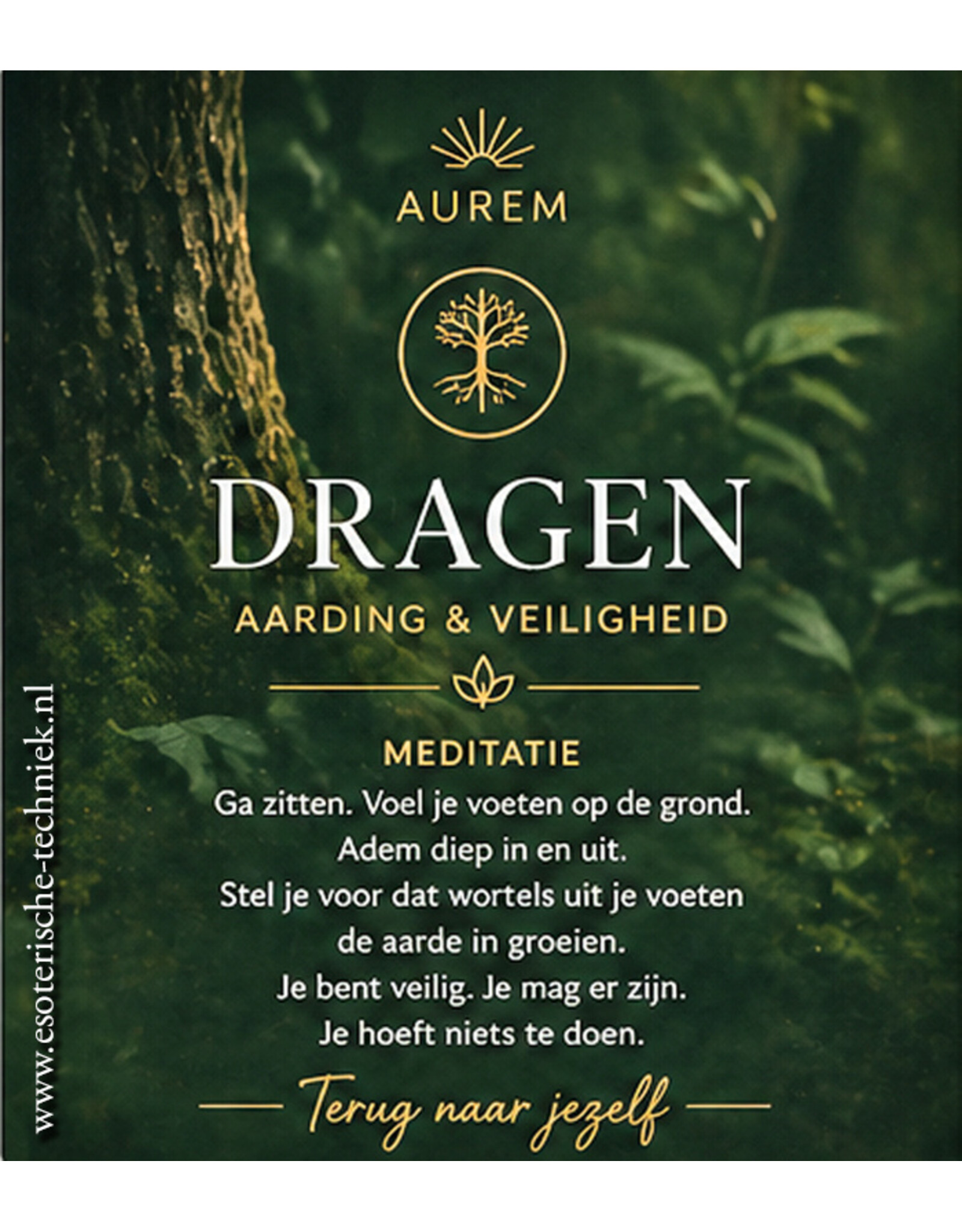 DRAGEN Fase 1 etherische olie blend voor Aarding en Veiligheid
