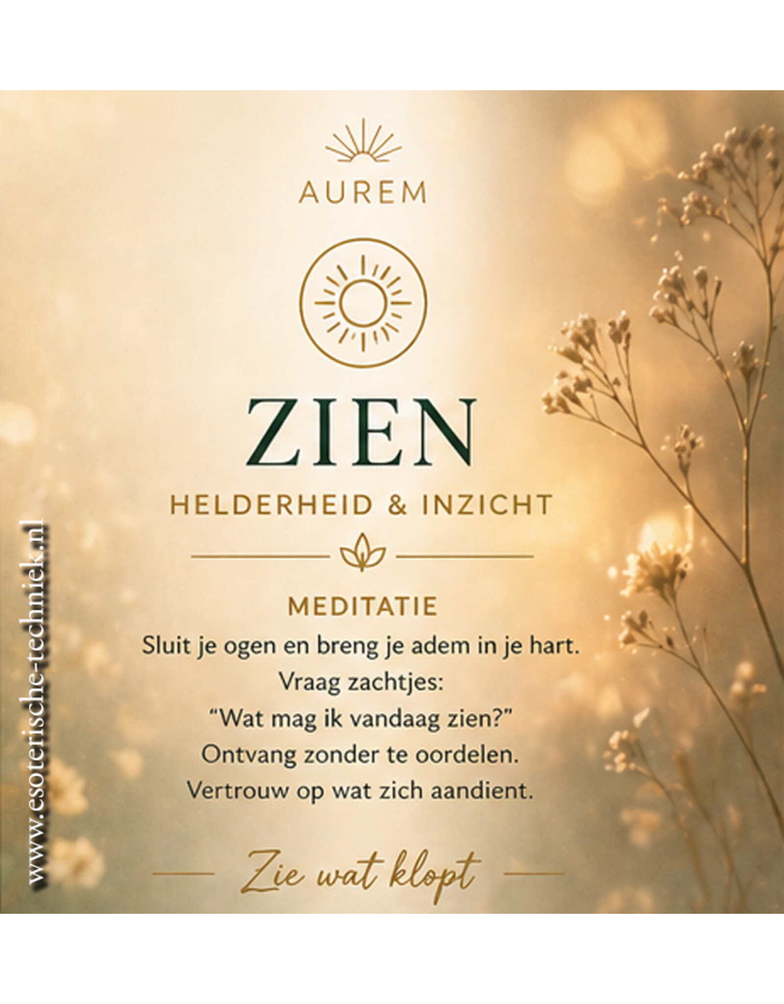 Aurem ZIEN Fase 3 etherische olie blend voor Helderheid en Focus