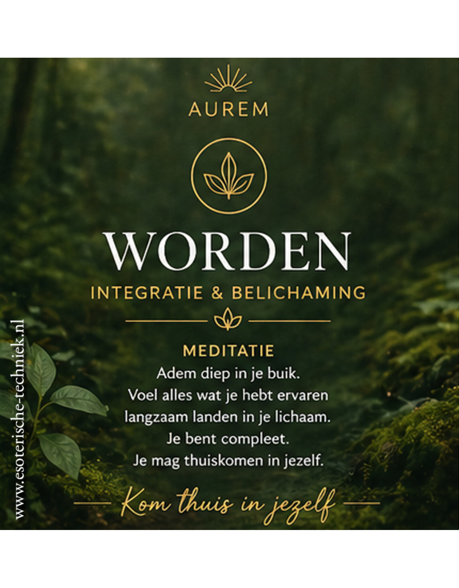 Aurem WORDEN Fase 4 etherische olie blend  voor Intergratie en Belichaming