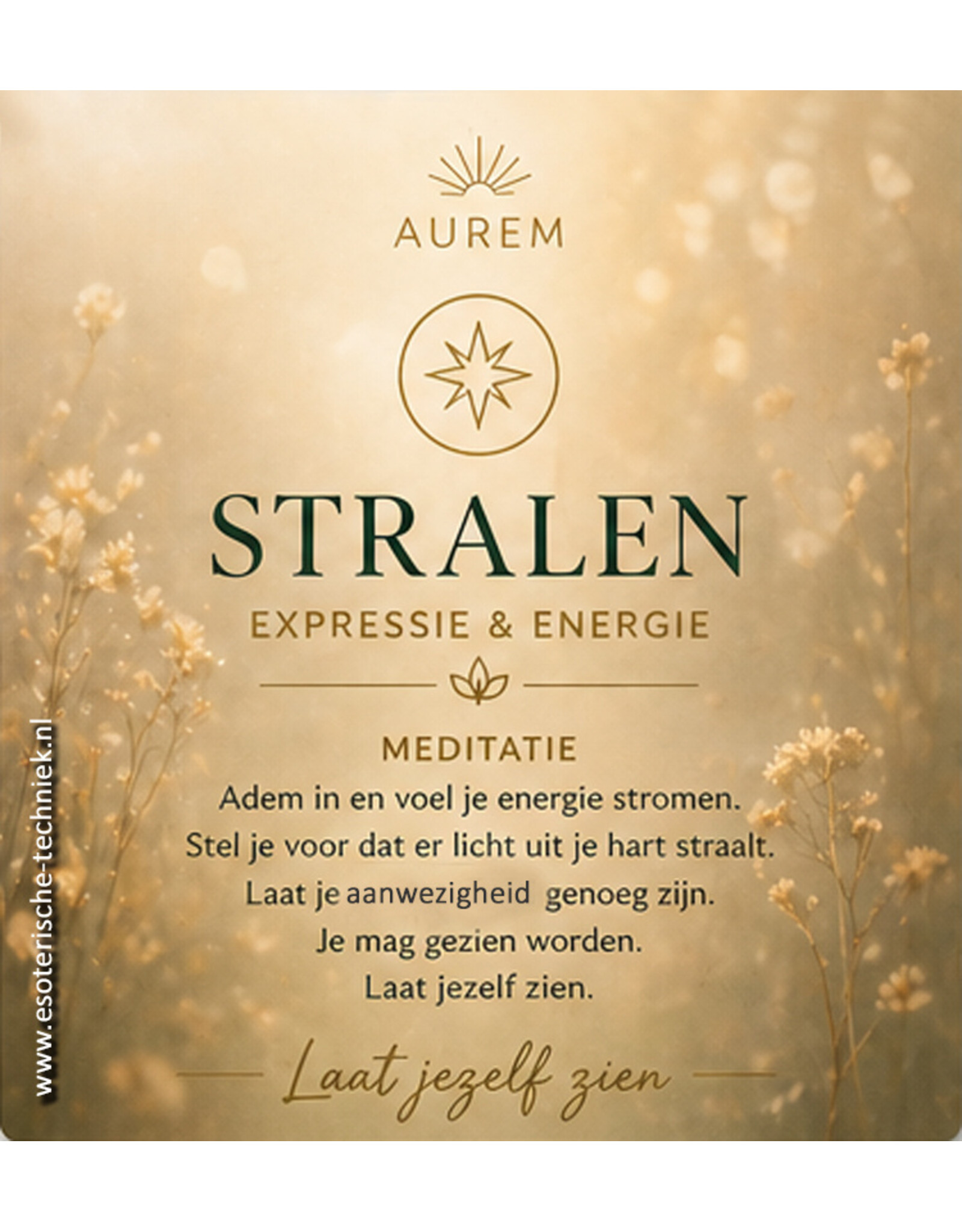 Aurem Stralen Fase 5 etherische olie blend voor Expressie en Levenskracht