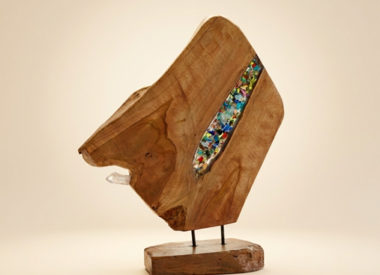Wat is orgonite