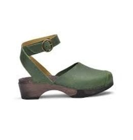 Clumpy Noor 71 cactus -/-25%