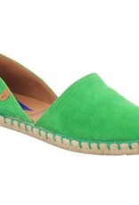 Verbenas  Carmen groen -/-25%