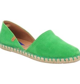 Verbenas Carmen groen -/-25%