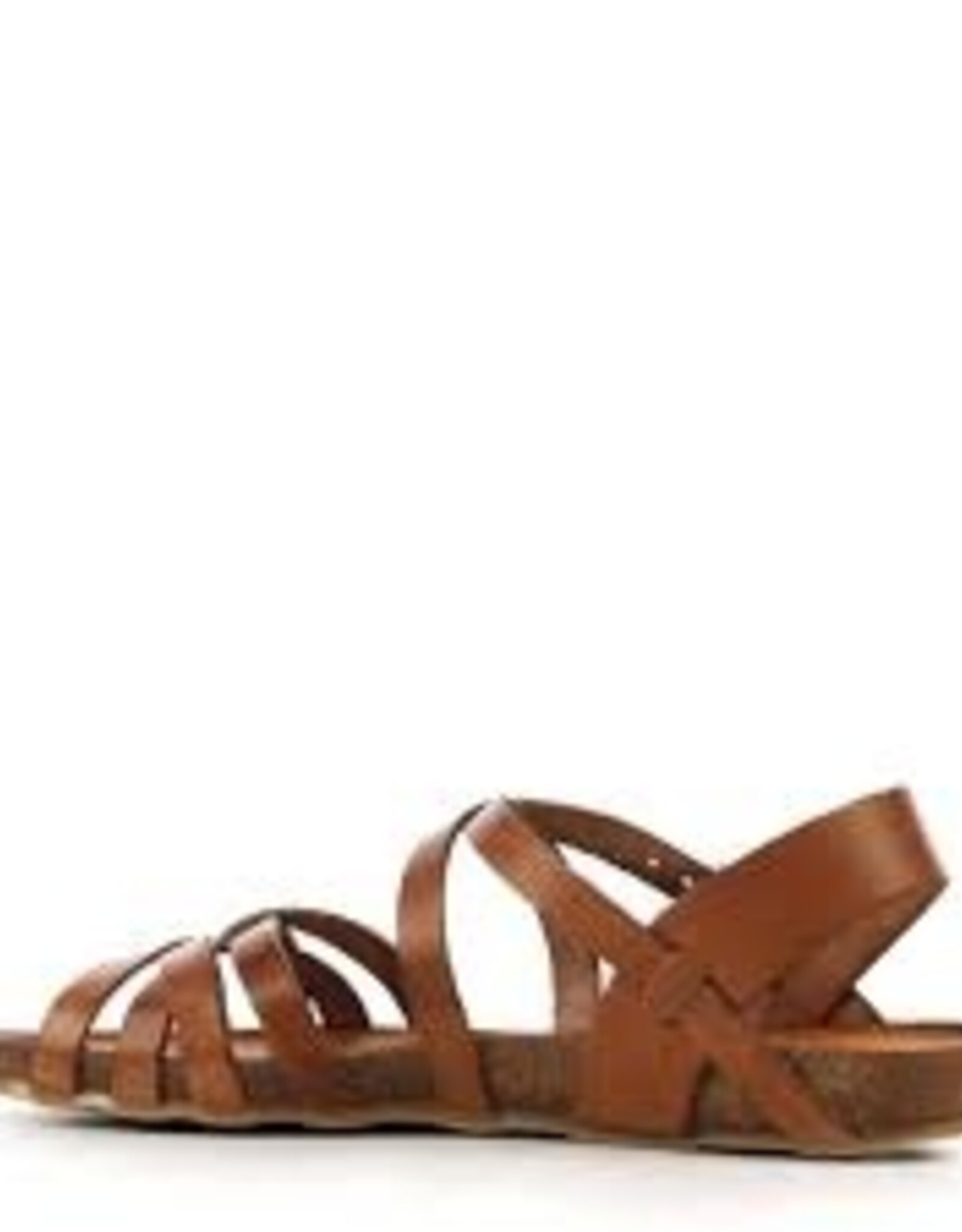 Red-Rag 79226 cognac