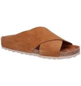 Verbenas Runa cogn -/-25%