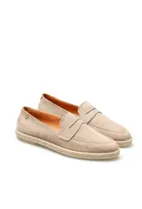 Verbenas Kenia sand -/-25%