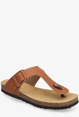 scholl Claude cognac