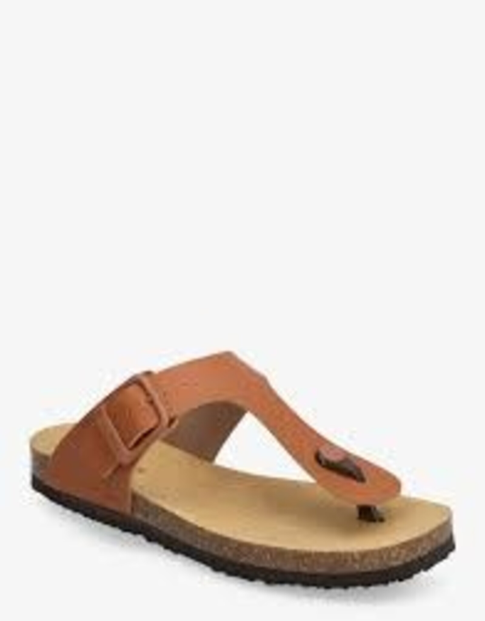 scholl Claude cognac