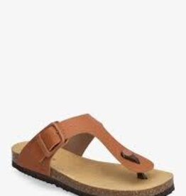scholl Claude cogn