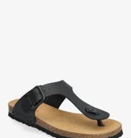 scholl Claude zw