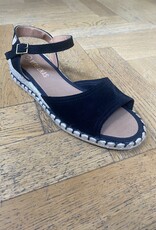 Verbenas Valerie zwart  -/-25%