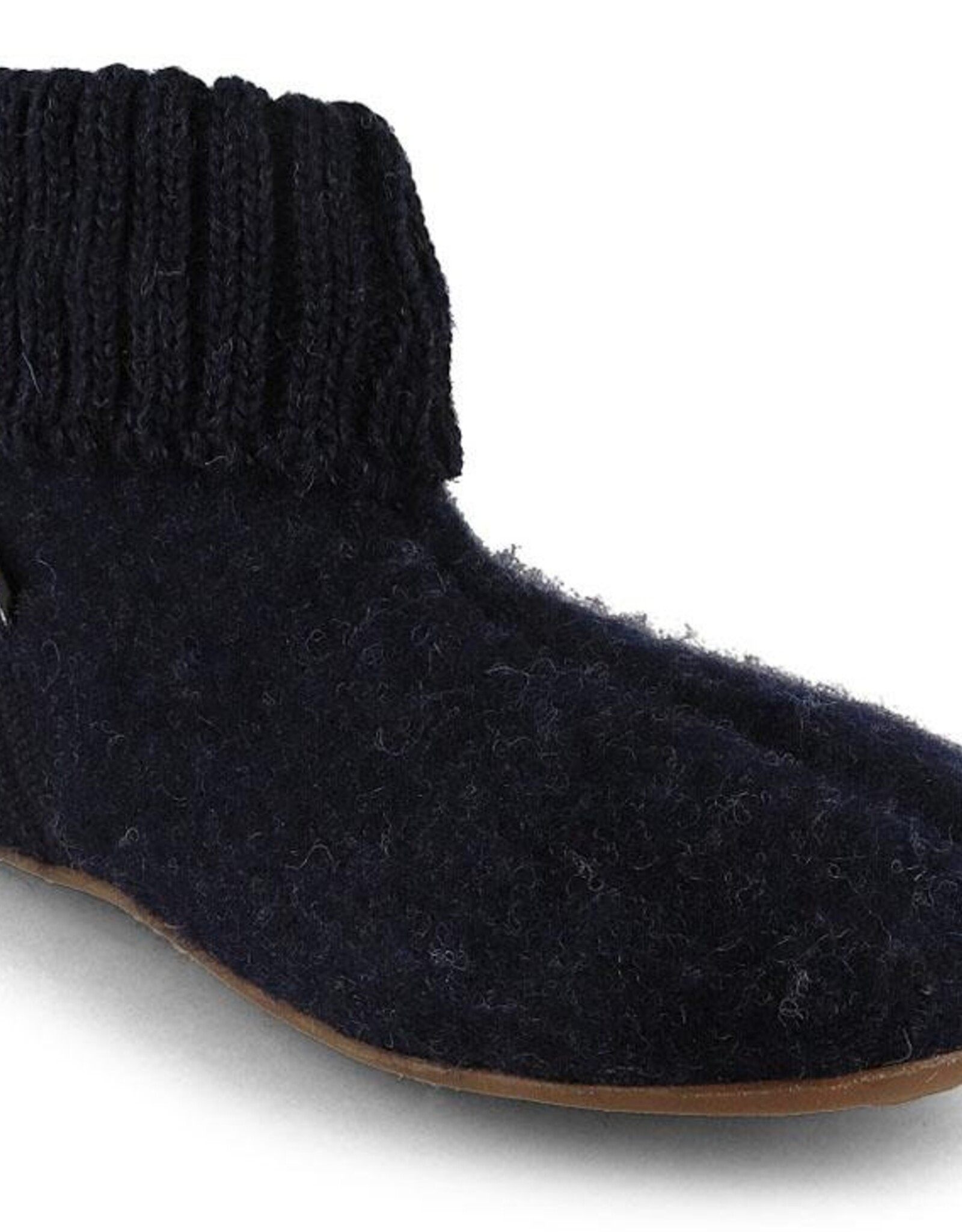 Haflinger Karlo d.blau