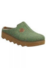Rohde 6120 groen