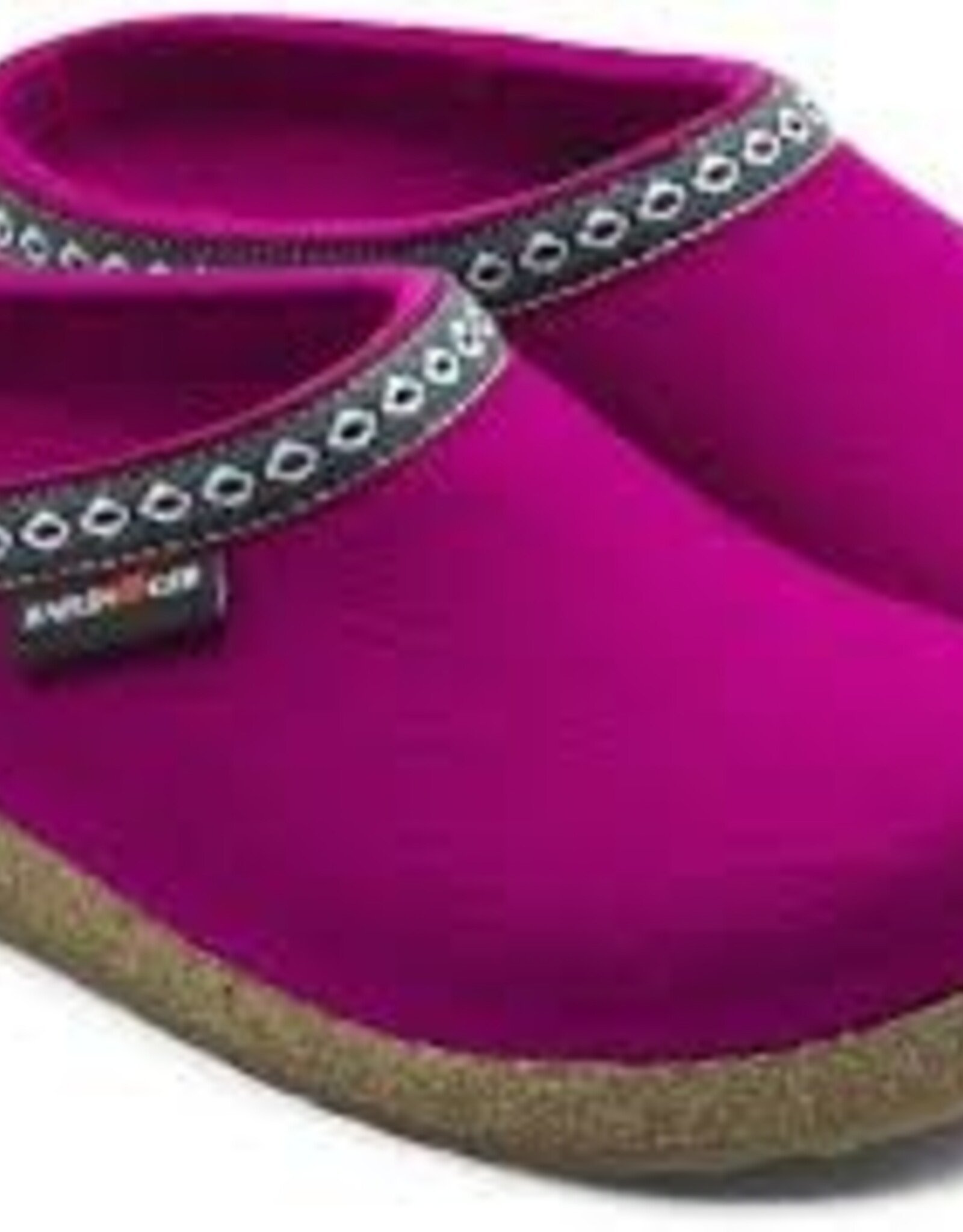 Haflinger Grizzly Torben Franzl fuxia