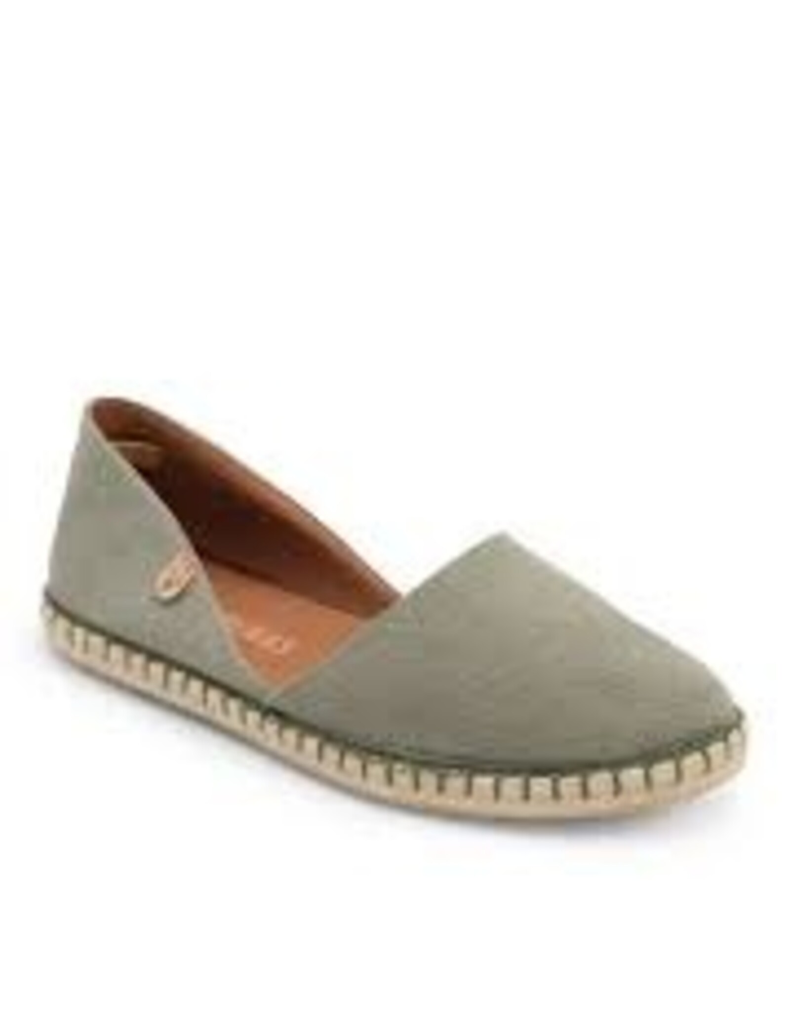 Verbenas  Carmen olive