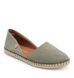 Verbenas Carmen olive