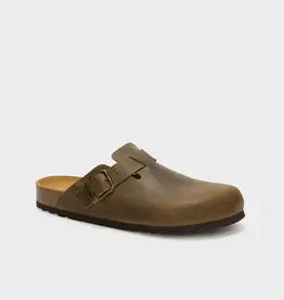 scholl Oliver br leer