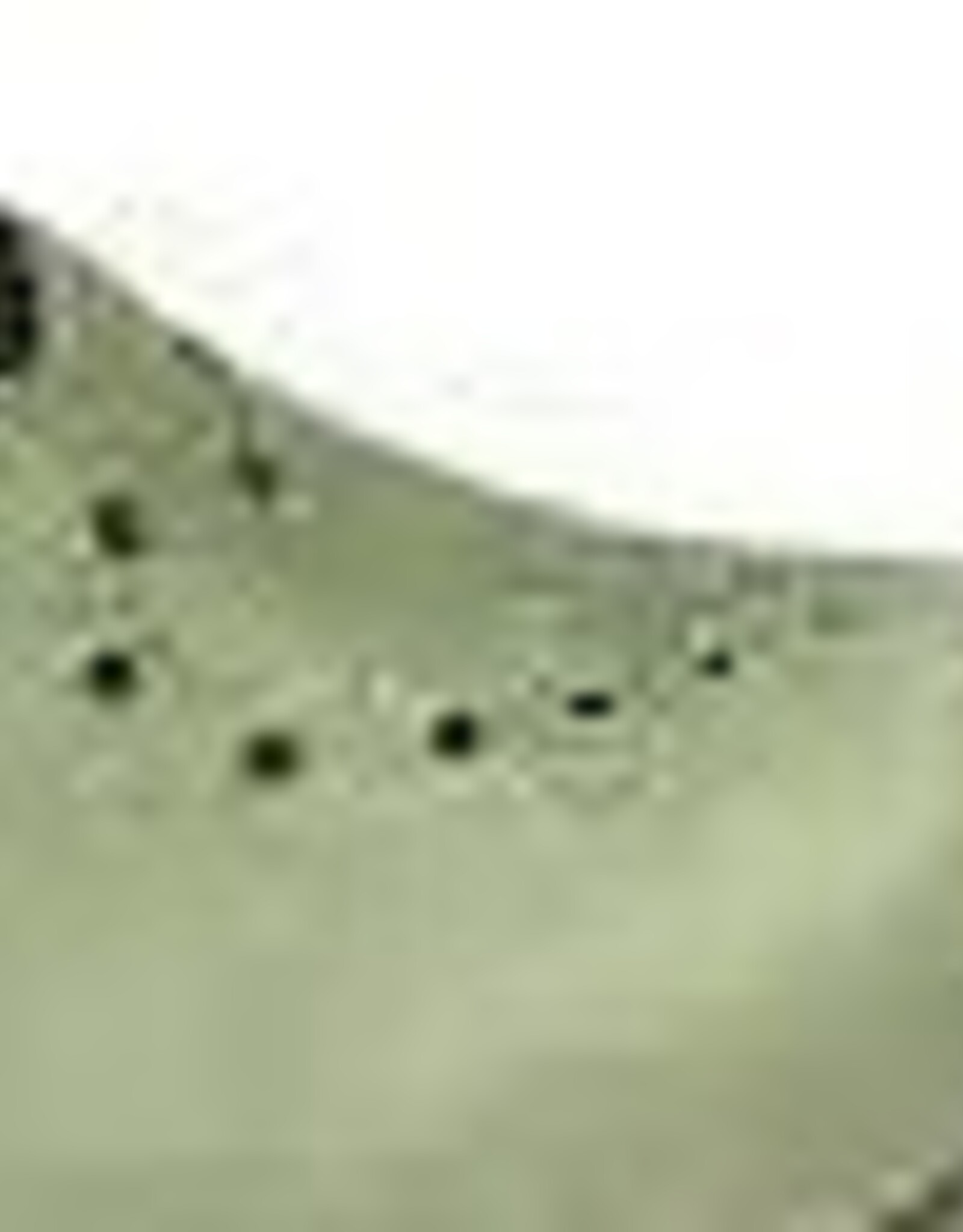 Sanita  Chrissy 1200009 olijf -/-25%