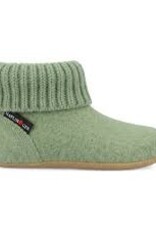 Haflinger Karlo groen farn