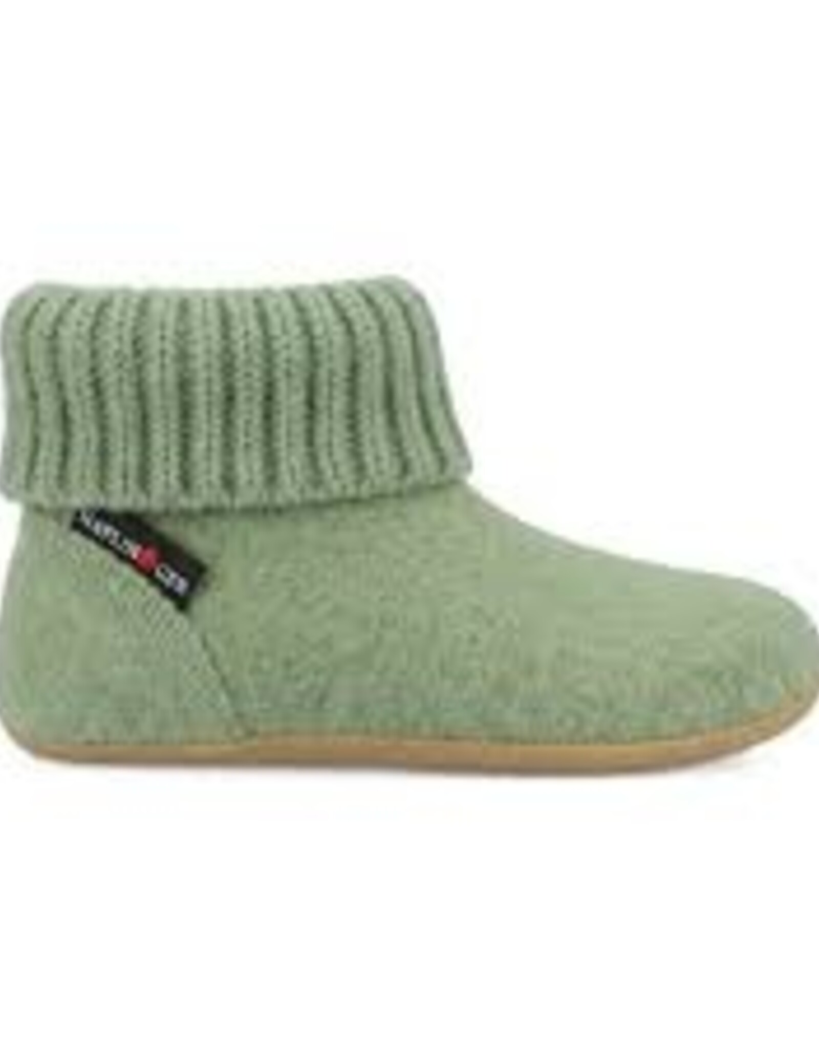 Haflinger Karlo groen farn