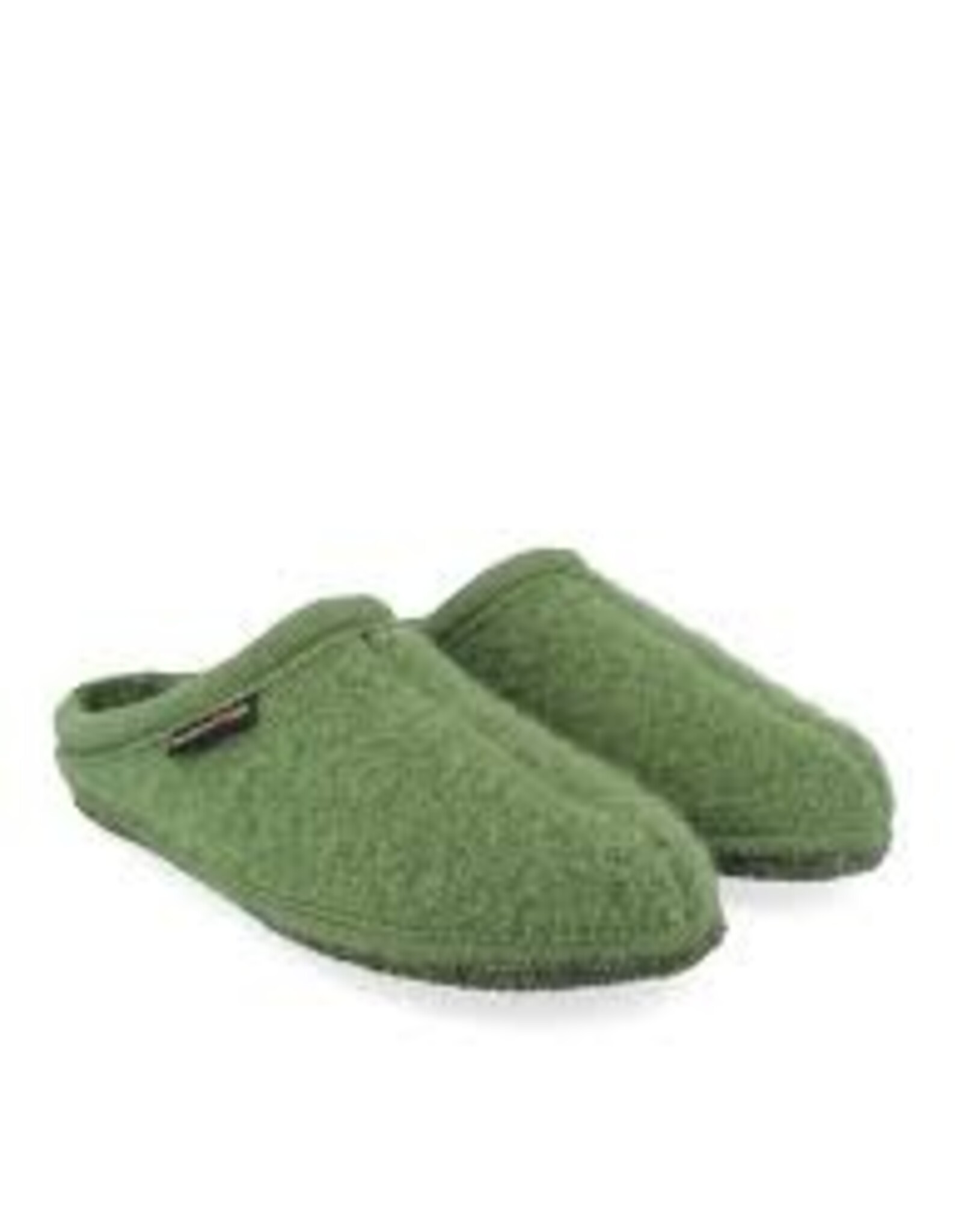 Haflinger Alaska 611001 groen farn