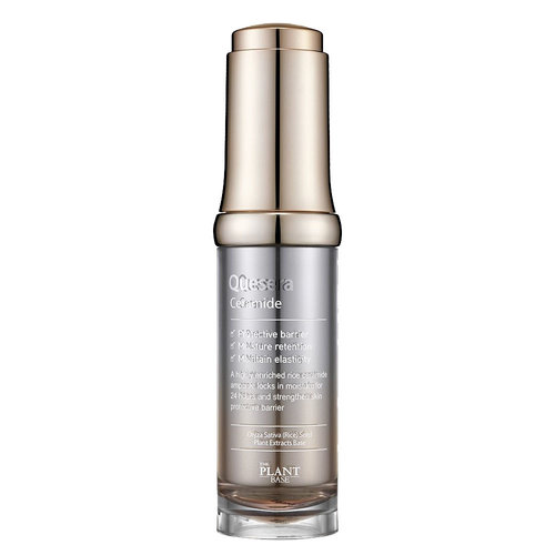 The Plant Base Quesera Ceramide The Plant Base Quesera Ceramide