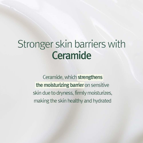 Pyunkang Yul Calming Moisture Barrier Cream Pyunkang Yul Calming Moisture Barrier Cream