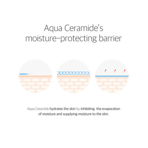 Round Lab 365 Derma Relief Sun Cream SPF 50+ PA+++ Round Lab 365 Derma Relief Sun Cream SPF 50+ PA+++