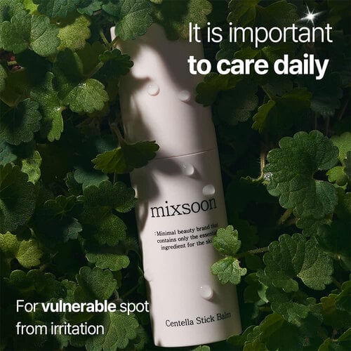 Mixsoon Centella Asiatica Stick Balm Mixsoon Centella Asiatica Stick Balm