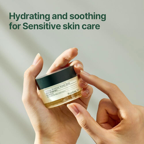 Pyunkang Yul Calming Moisture Repair Balm Pyunkang Yul Calming Moisture Repair Balm