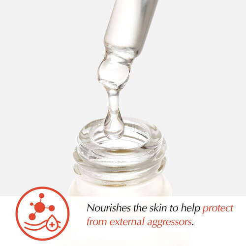 The Potions Camellia Seed Oil Serum