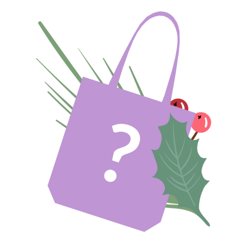 Christmas Mystery Goodie Bag