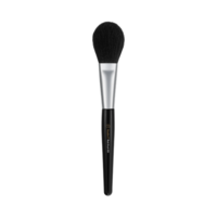 Blush Brush 833