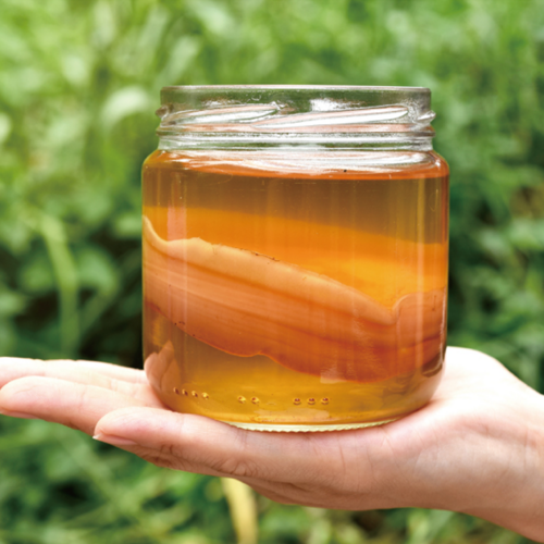 British M Kombucha Mask