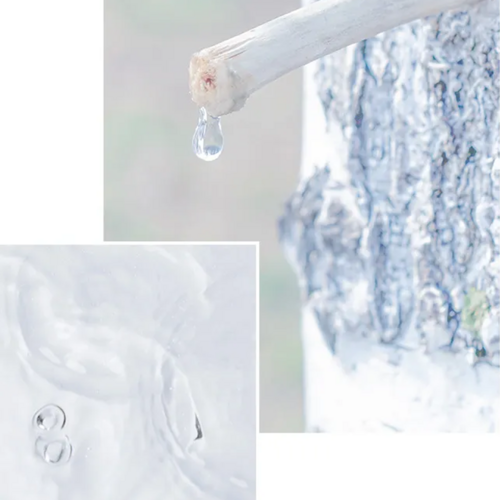 Anua Birch 70% Moisture Boosting Serum