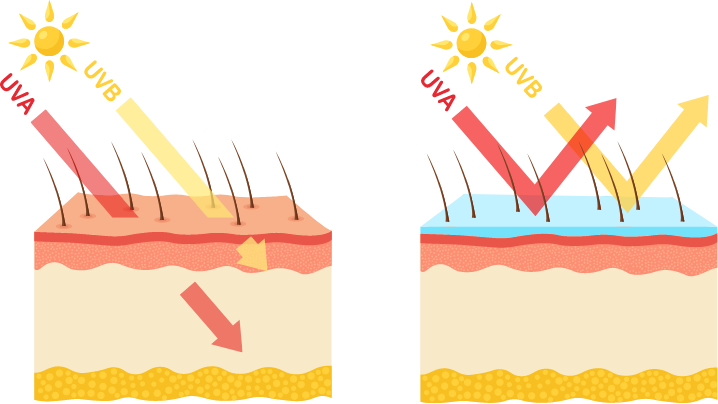 UVA and UVB radiation without and with SPF