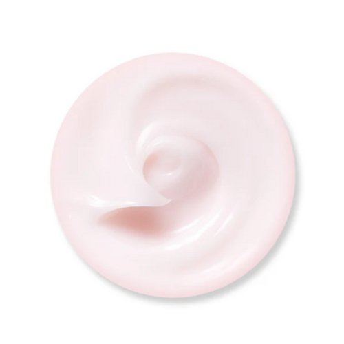 EQQUALBERRY NAD+ Peptide Boosting Cream EQQUALBERRY NAD+ Peptide Boosting Cream