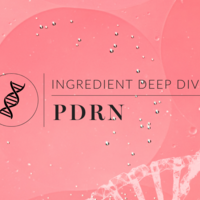 Meet PDRN : Favorites and Vegan alternatives