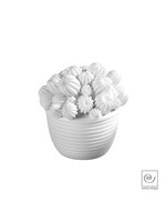 Art Mascagni A609 CACTUS