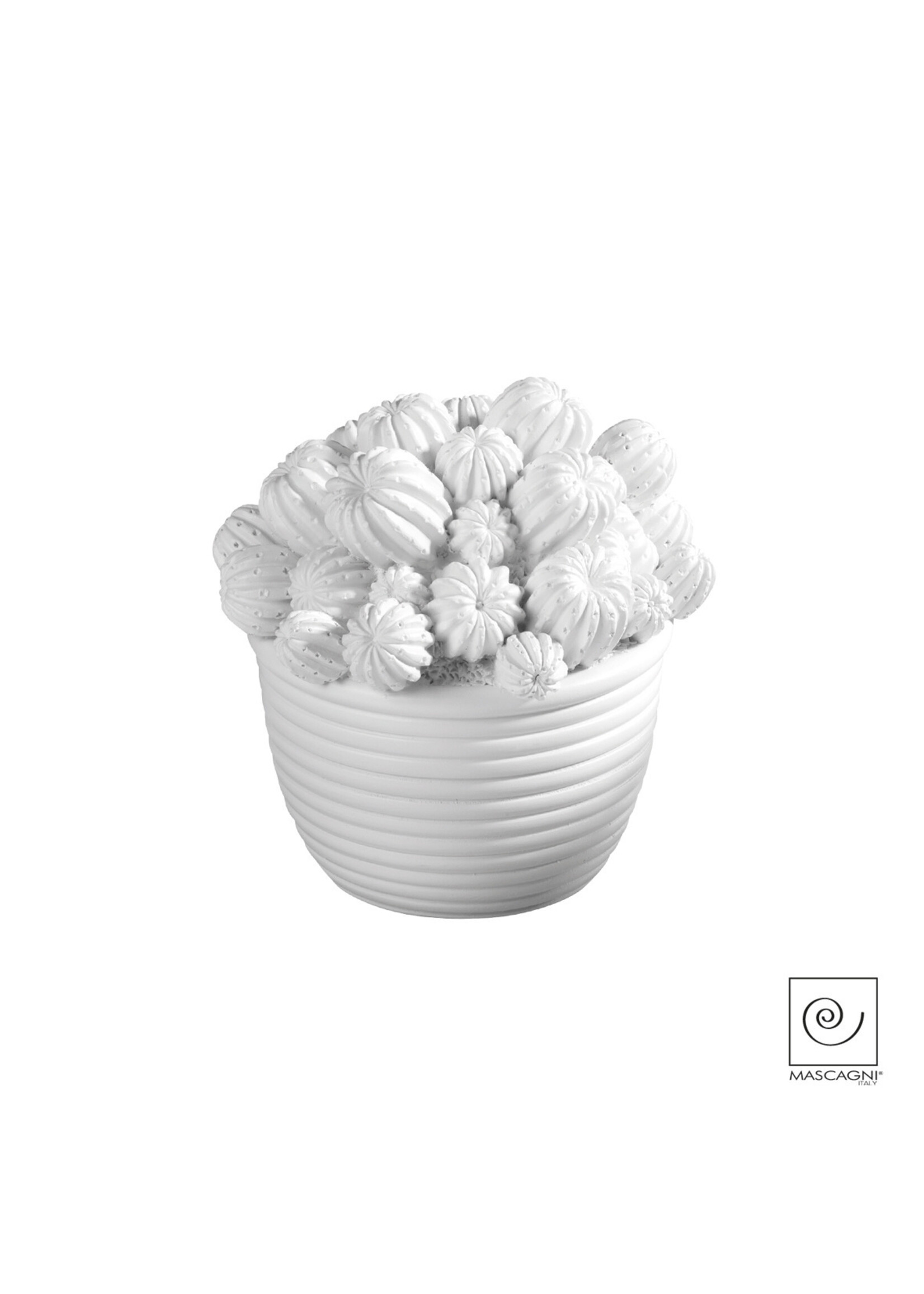 Art Mascagni A609 CACTUS