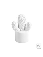 Art Mascagni A612 CACTUS