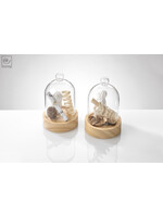 Art Mascagni A926 BELL JAR