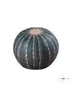 Art Mascagni O1428 POUF CACTUS DIAM.40