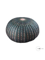 Art Mascagni O1429 POUF CACTUS DIAM.50