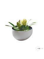 Art Mascagni O1441 BOWL DIAM.26,5