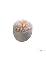 Art Mascagni O1494 CANDLE DIAM.9 - COL.PINK