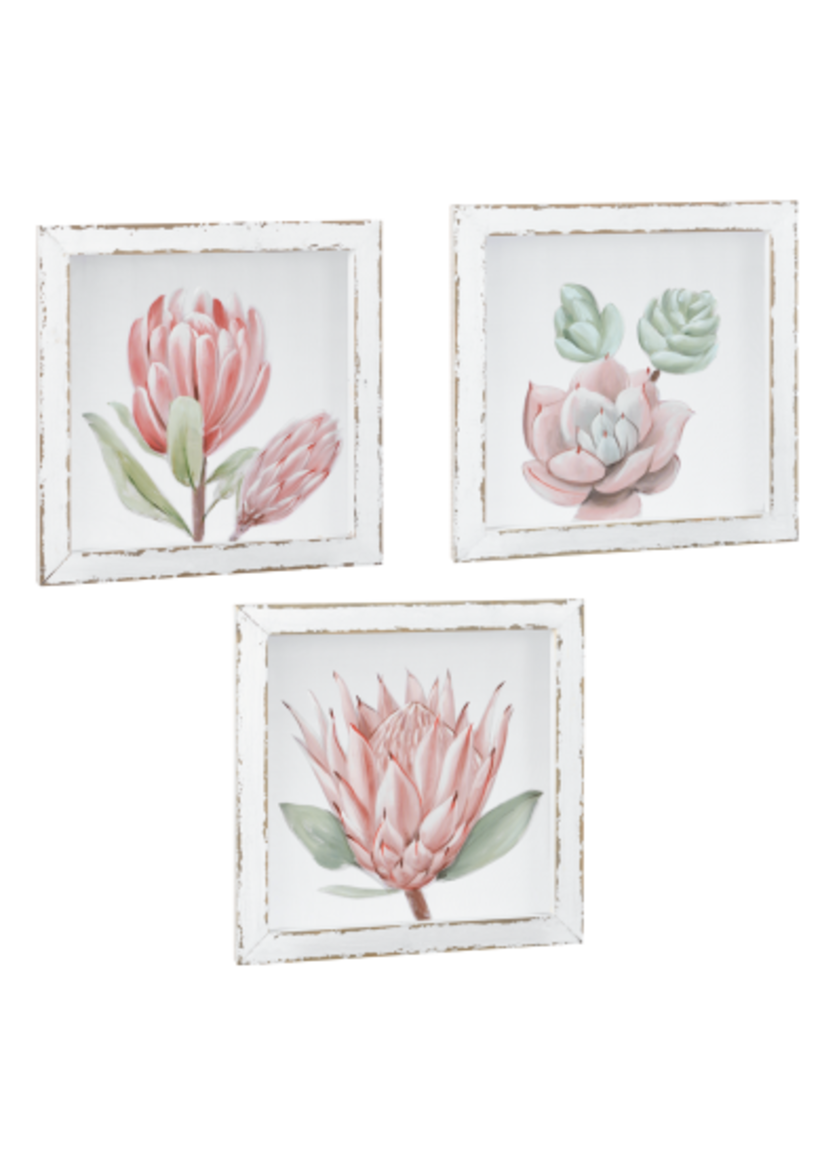 Art Mascagni O1481 SET 3 IMAGES 40X40