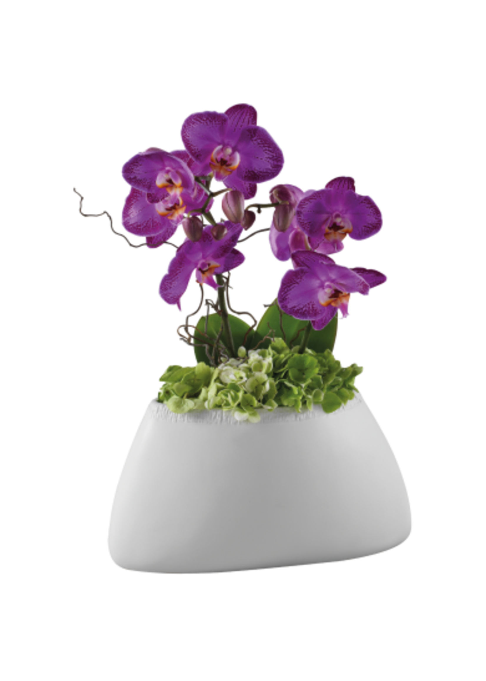 Art Mascagni O1371 VASE CM.44,5X20X5