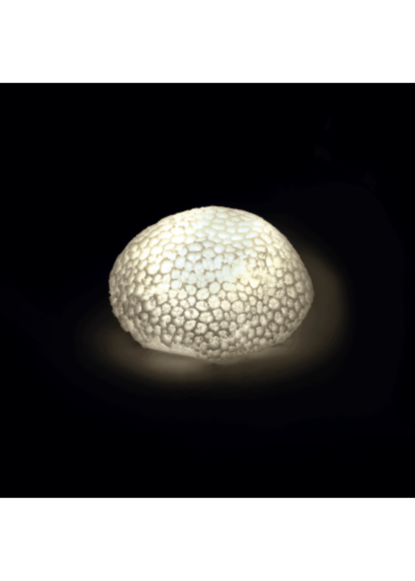 Art Mascagni O1349 LITTLE LAMP LED